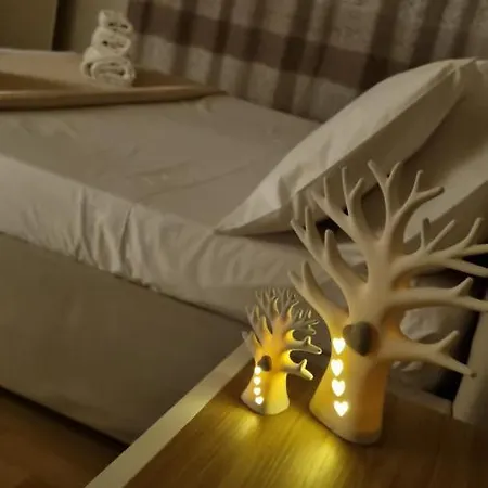 Dudi Apartment